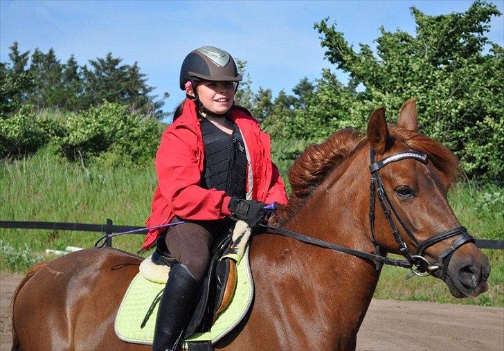 DSP Chanell billede 16