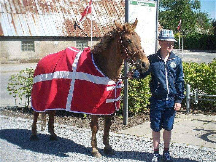 Anden særlig race Frida billede 17