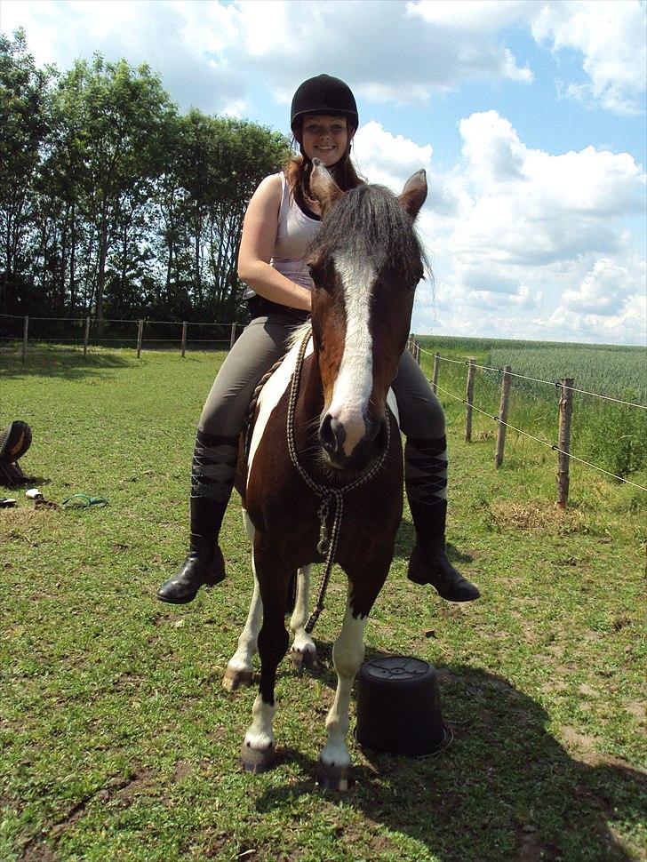 Anden særlig race Jackpot - Jackpot og mig, første gang kun med reb om hals.
Taget af: Josefine Forslund billede 5