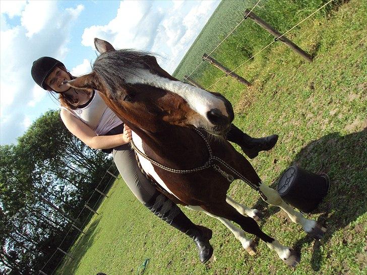 Anden særlig race Jackpot - Jackpot og mig, første gang kun med reb om hals.
Taget af: Josefine Forslund billede 6