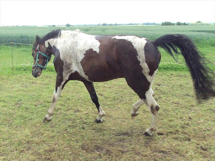 Anden særlig race Jackpot - Flip efter at have rullet sig (:
Taget af: Mig billede 8