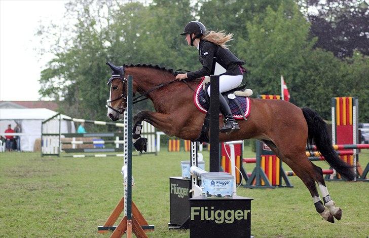 New Forest Primakov <3 R.I.P. 27/10 2011 - Primsen og Camilla - La* i dalum, 0fejl og 3. plads.
Foto: Sabrina Lønfeldt billede 3