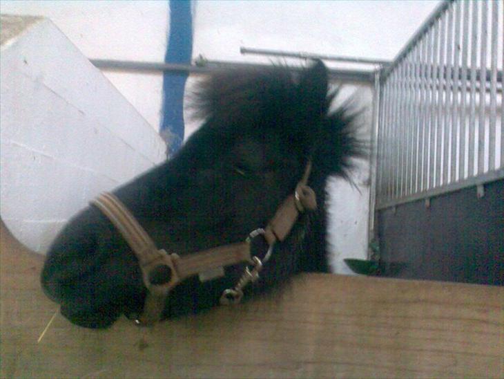 {{currentPhoto.altText}} billede {{currentPhoto.number}}