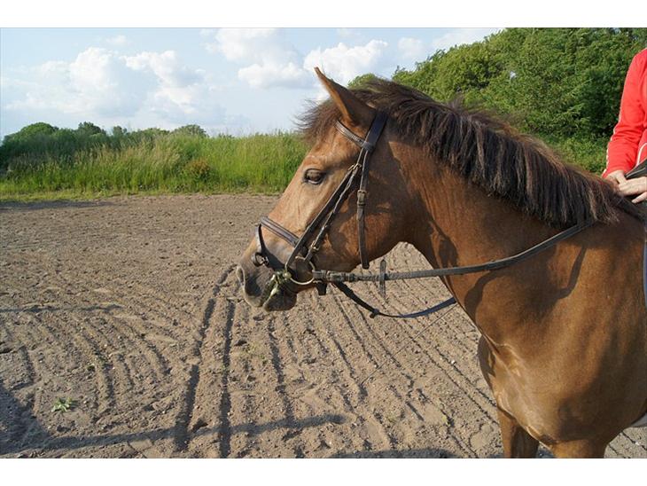 {{currentPhoto.altText}} billede {{currentPhoto.number}}