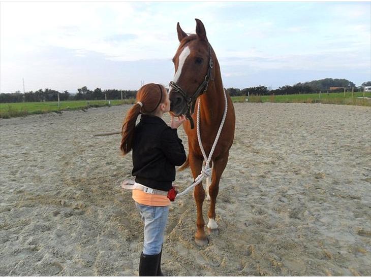 {{currentPhoto.altText}} billede {{currentPhoto.number}}