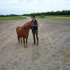 Anden særlig race flika 