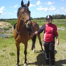 Dansk Varmblod Ringsdalsgaards Chateaux - Solgt!