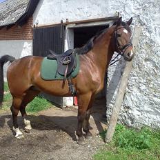 Anden særlig race Bugatti