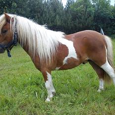 Miniature Ryttergaarden's Bertram