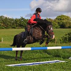 Anden særlig race Max <3