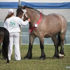 Belgier Mette Støvringgård 