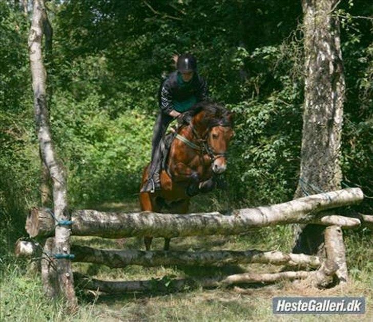 Anden særlig race Tobias - Toby og hans ejer. billede 3