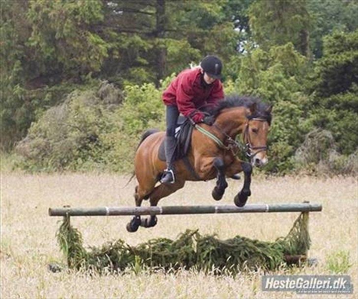 Anden særlig race Tobias - Toby og hans ejer. billede 4