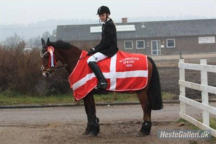 Anden særlig race Tobias - Toby og hans ejer. billede 5