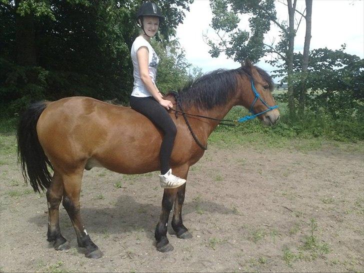 Anden særlig race Tobias - Toby og jeg, første gang med cordeo :-) billede 6