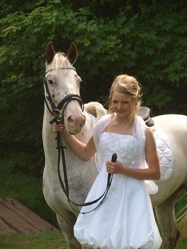 Appaloosa Rachene's Mannie - Da jeg så dig ved kirken blev jeg overglad. Du gjorde det til den en af de lykligste dage i mit liv! billede 13