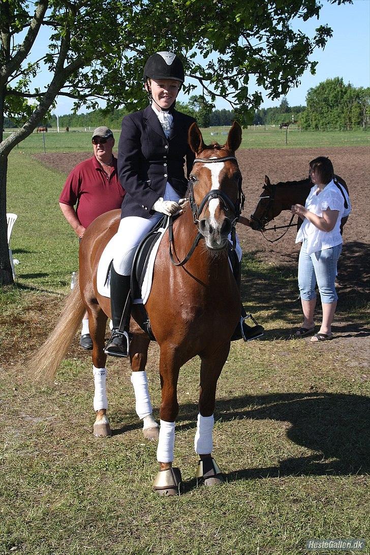 Anden særlig race Natasja billede 2