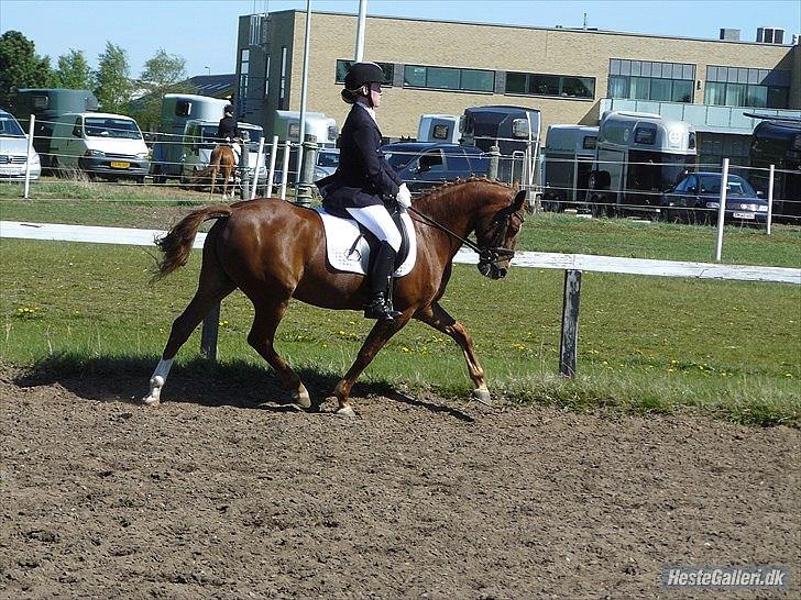 Anden særlig race Natasja billede 6