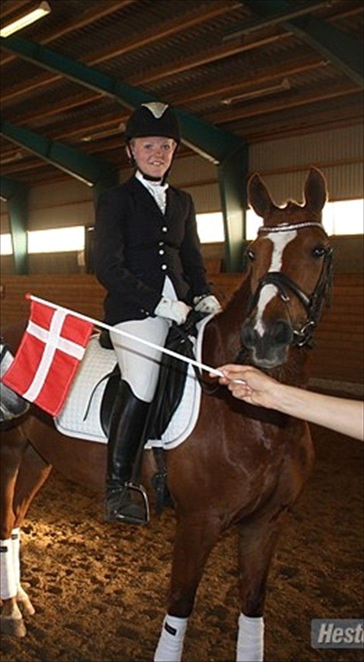 Anden særlig race Natasja billede 9