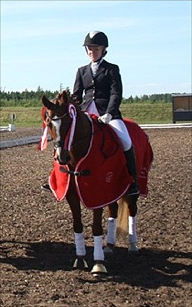 Anden særlig race Natasja billede 10