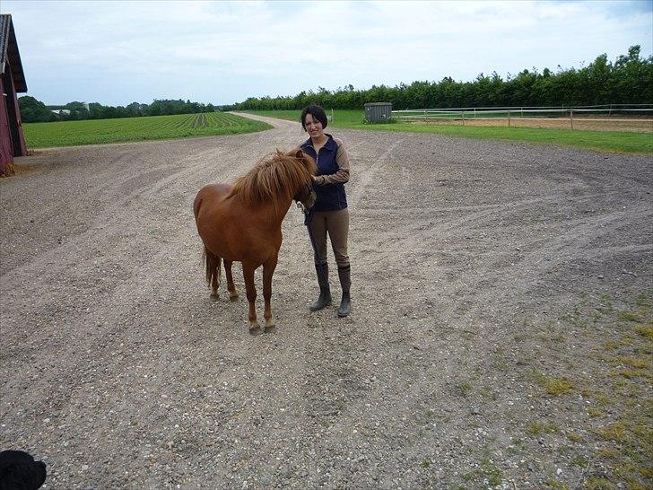 Anden særlig race flika  billede 2