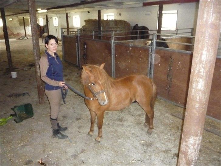 Anden særlig race flika  billede 8