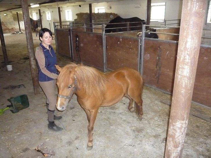 Anden særlig race flika  billede 9