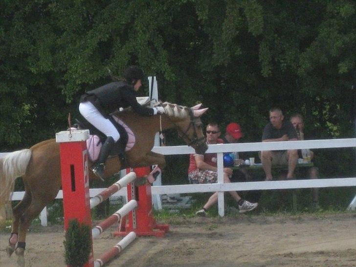 DSP Bæklunds Light - Omspringning LB PSR, Vi vandt! <3 ... Fototgraf: Sofie Olesen billede 6