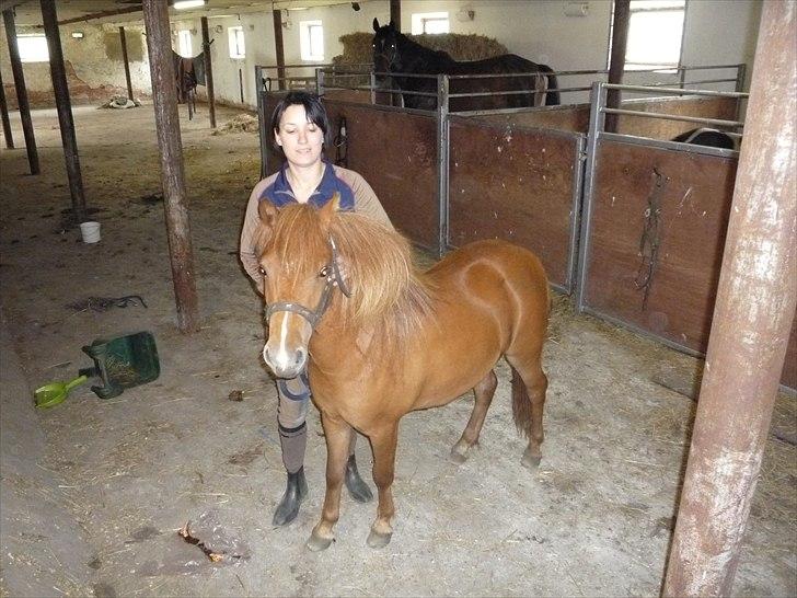 Anden særlig race flika  billede 10