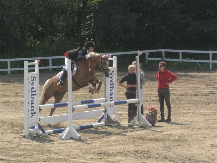 DSP Bæklunds Light - LB PSR, Vi vandt! <3 ... Fototgraf: Sofie Olesen billede 2