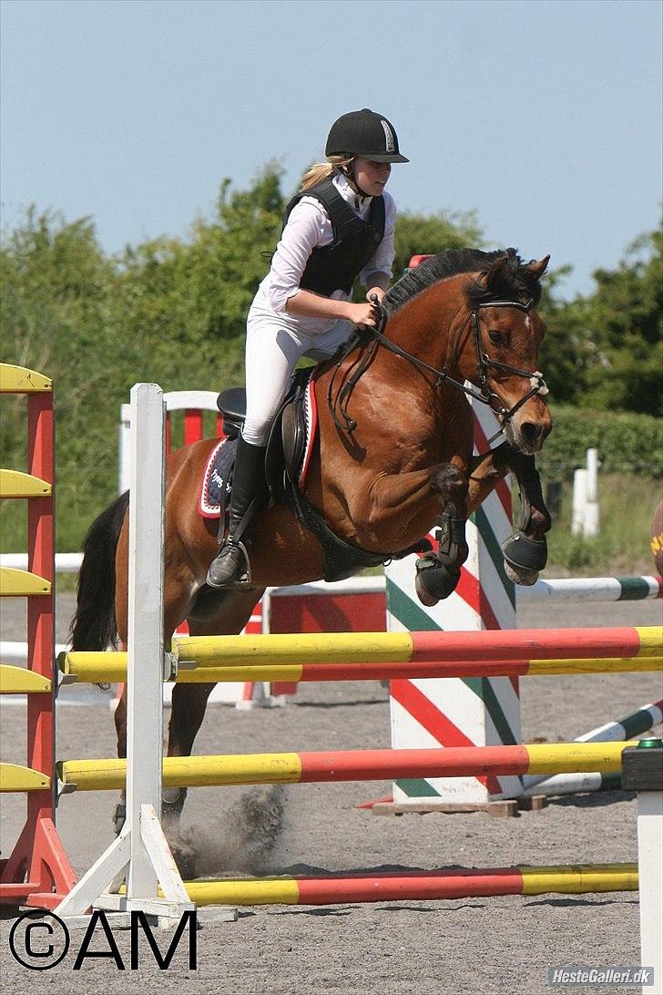 Anden særlig race Flying Star<3 - Kærlighed er som krig - nem at starte, svær at slutte, og aldrig til at glemme. billede 6