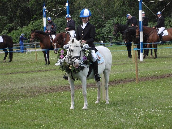 Welsh Pony (sec B) †Marmaja flika R.I.P† - Ringridning D.09.04.2011 billede 16