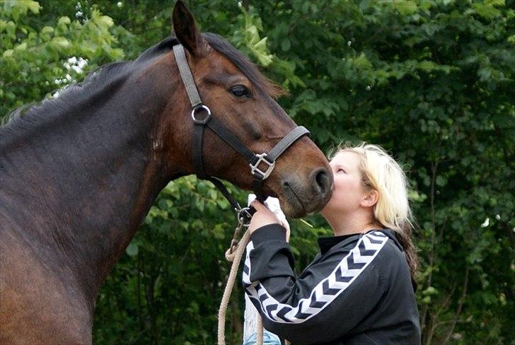 Anden særlig race Chili in action *Miss you boy* - 5 - Du har taget mit hjerte, & vil aldrig have det igen ! 
For det tilhøre kun dig ♥
Efter du er kommet ind i mit liv er altting bare godt, du holder mig oppe når jeg er nede ! Du den bedste ven man nogen sinde kunne ønske sig :*   billede 5