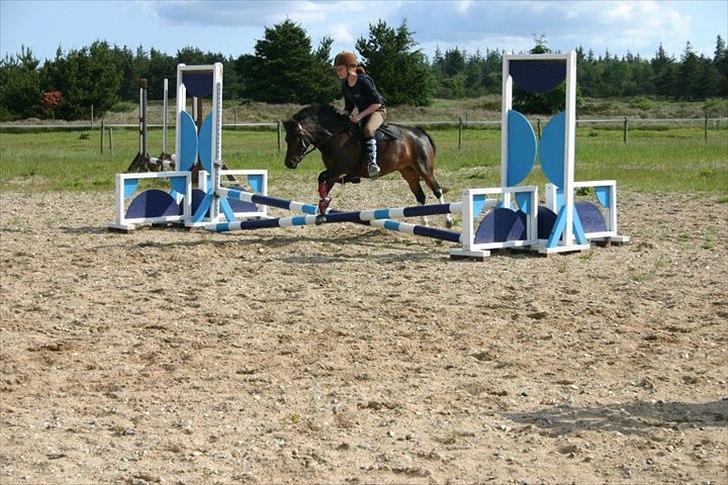 Anden særlig race Tøsen - Perfekte!<3 - jeg vil hente ost på månen til dig vis det er det du vil ha!:-* billede 6