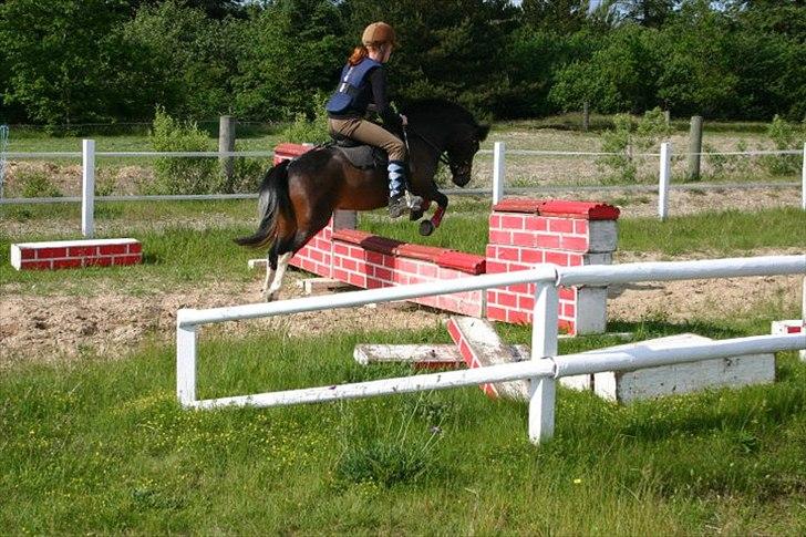 Anden særlig race Tøsen - Perfekte!<3 - Tøsen den skid stopper og vænger derefter at spring... Men ->
( Foto - Astrid Bansmann ) billede 7