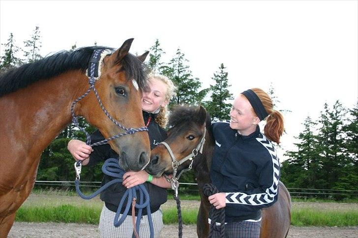 Anden særlig race Tøsen - Perfekte!<3 - Fly og Tøsen kysser :-)
( Foto - Astrid Bansmann ) billede 9