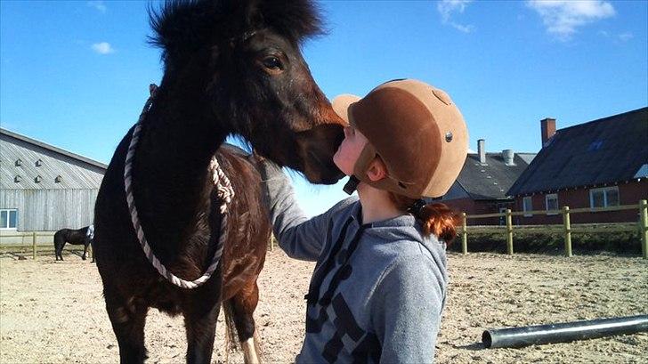 Anden særlig race Tøsen - Perfekte!<3 - ( Foto - Camilla isaksen ) billede 15