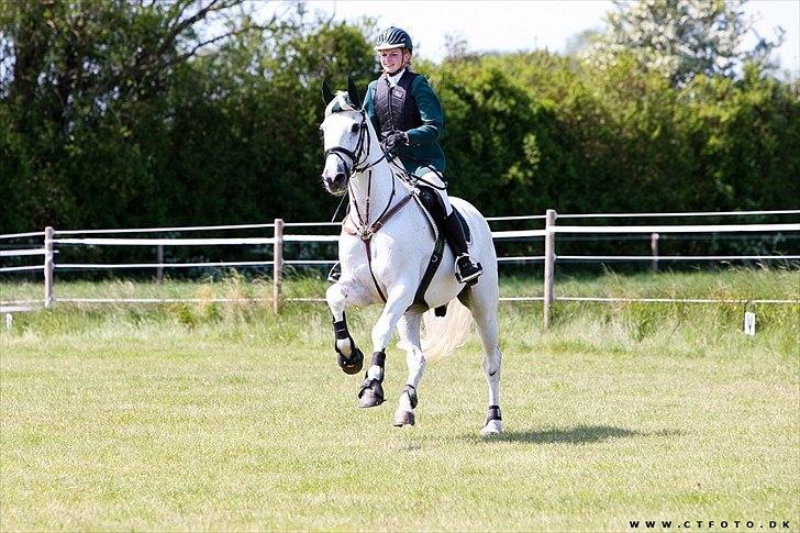 Holstener Christian 14 billede 6