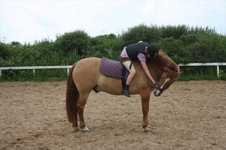 Anden særlig race Sir Thomas Ekipazas - Thomsen:) billede 6