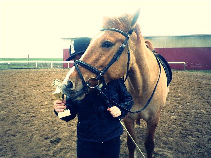 Anden særlig race Sir Thomas Ekipazas - Første "Stævne" de pynter fint her hjemme, de 2 pokaler:p billede 8