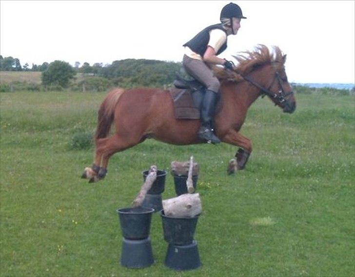 Anden særlig race Magic Mio! Altid gemt i hjertet. <3 - 70<3. billede 16