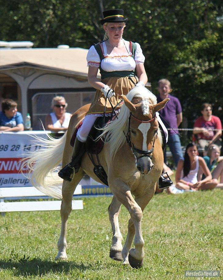 Haflinger Nenee -  Elitehoppe SOLGT - © NB © 
Hjallerup marked 2011 - pas de deux billede 17