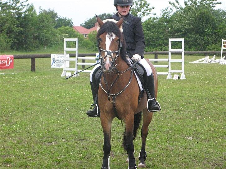 Belgisk Sportspony * Donna Van Stevenshof * - 1 plads :)  billede 14