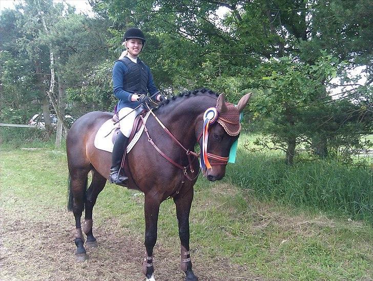 Dansk Varmblod Kito V - Samlet 4. plads til L/M DanmarksCup 2011 LA2** :) Stjernehest<3
Fotograf: Far billede 15