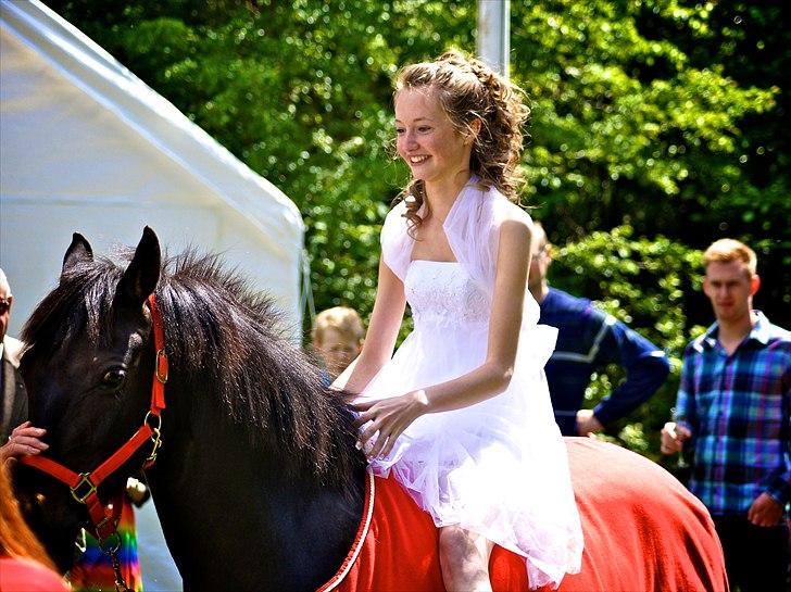 Tysk Sportspony Melody 52 - Hun var min konfirmationsgave fra min far. Den bedste gave jeg fik! :D En jeg vil passe rigtig godt på, og elske og nyde hvert et sekund sammen med hende!<3 Jeg elsker at få gaver der ikke går i stykker når de bliver tabt! :-D Og gaver der ALRIG vil blive billede 9