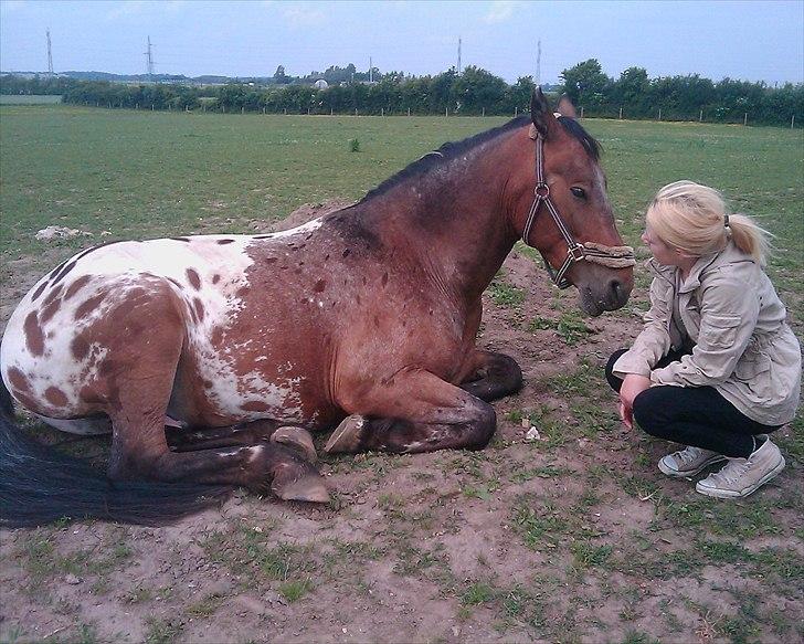 Anden særlig race Free Achak billede 14