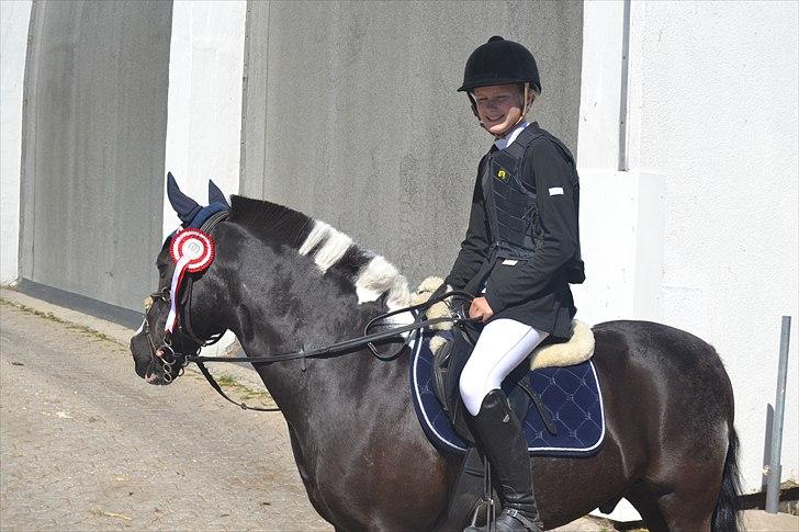 Anden særlig race Bounty -Charmetrold :'-)  - Vi vandt over 3'erne, 2'erne OG 1'erne <333 billede 15