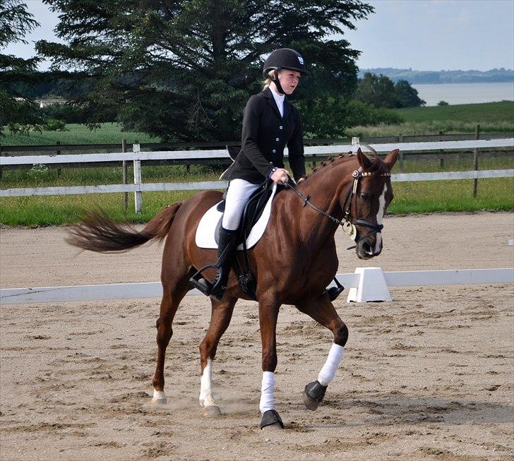 DSP | Night-Girl - 1. afd. af klubmesterskabet, vi blev 2'er :D Dejlig gallop!
Foto: Ida billede 18
