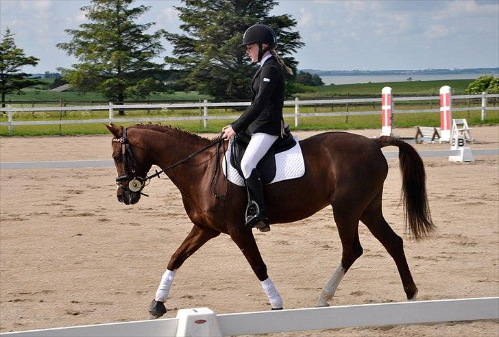 DSP | Night-Girl - 1. afd. af klubmesterskabet, vi blev 2'er :D Her i en fin trav :)
Foto: Ida  billede 13