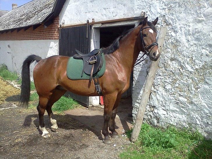 Anden særlig race Bugatti billede 2